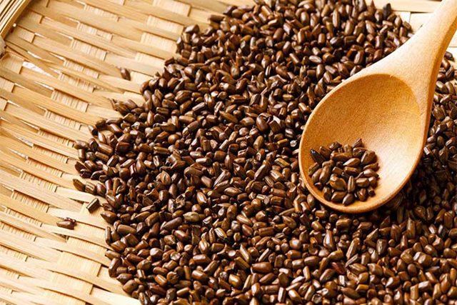 Hạt muồng chữa bệnh gì?